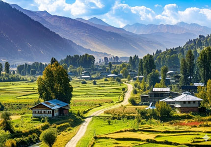 Srinagar Tour